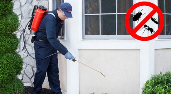 Çubuk Gümüşkurt İlaçlama böcek ilaçlama ve haşere kontrolü — ilaclama-tr.com